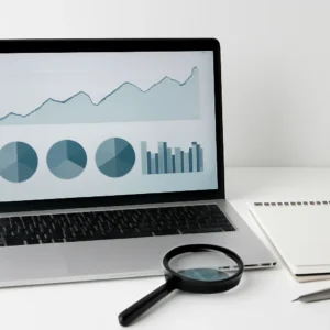 Basic SEO Audit